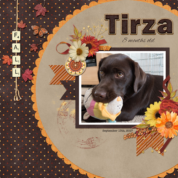 Tirza