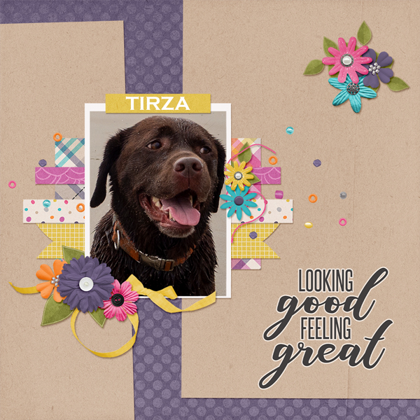 Tirza