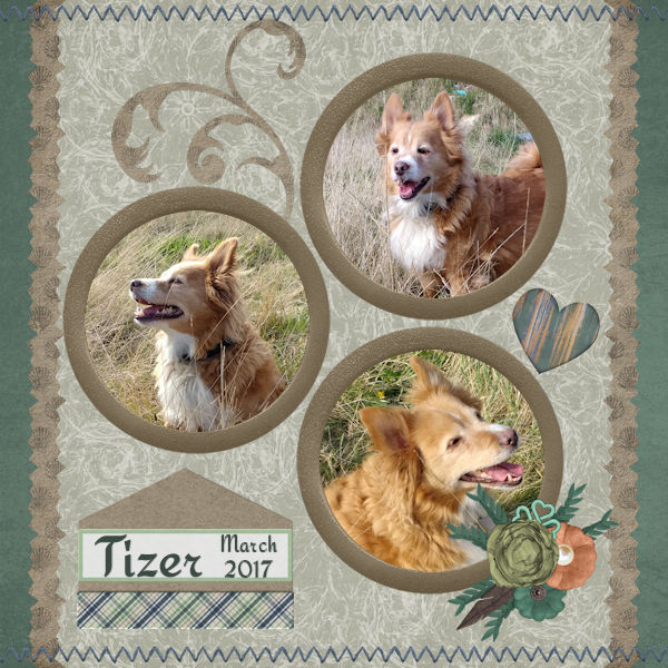Tizer smiles