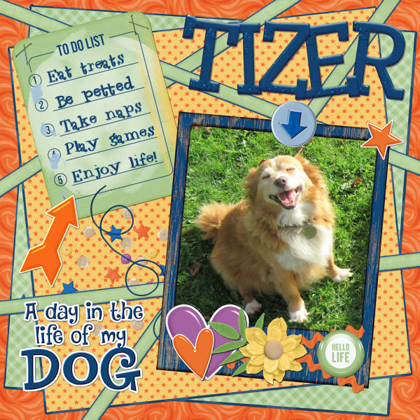 Tizer