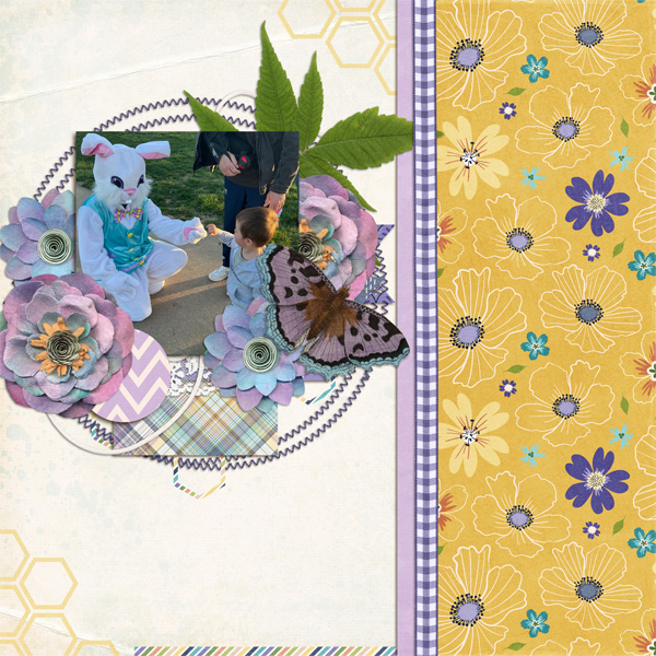 tlw-aprildailydownload-web