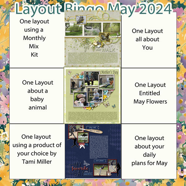 tmd_maybingo2024_1