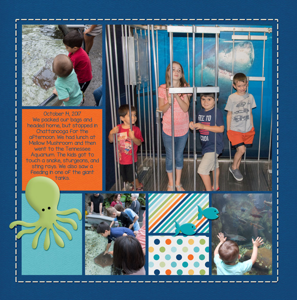 TN Aquarium