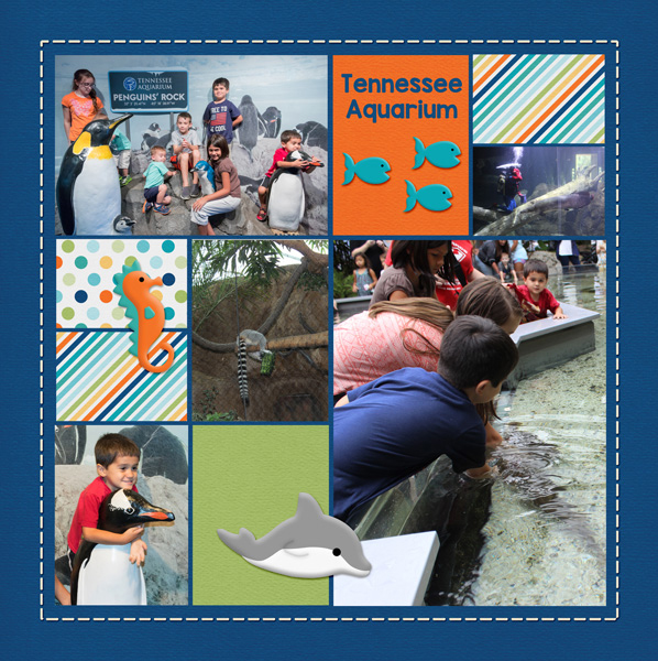 TN Aquarium