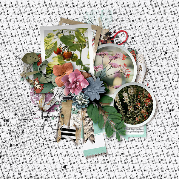 tnp-OHSOPRETTY-PD4_TRACY