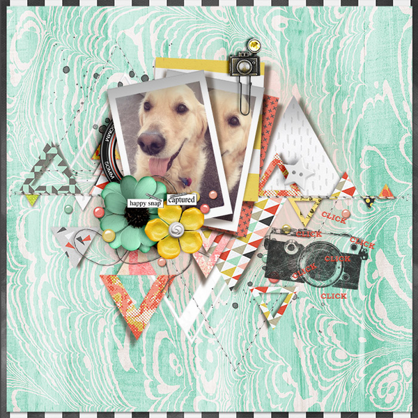 tnp-TRY-ANGLES-SNAPHAPPY_Tracy
