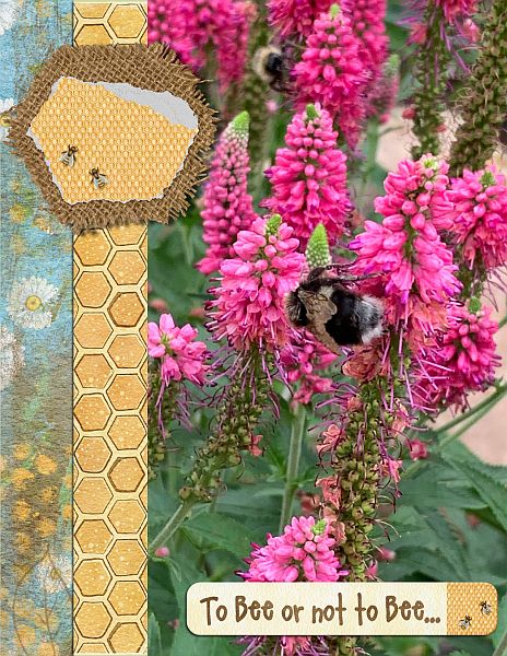 To Bee or Not to Bee Card
