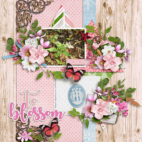 To Blossom