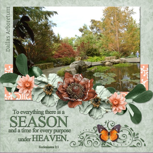 To everything there is a SEASON ...