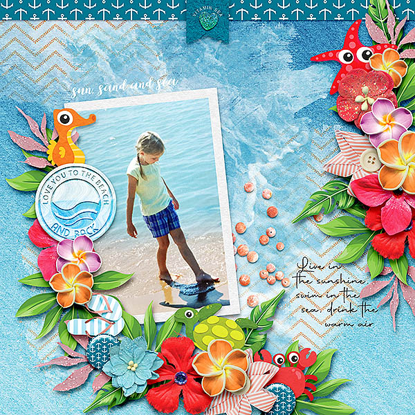 To the Beach and Back