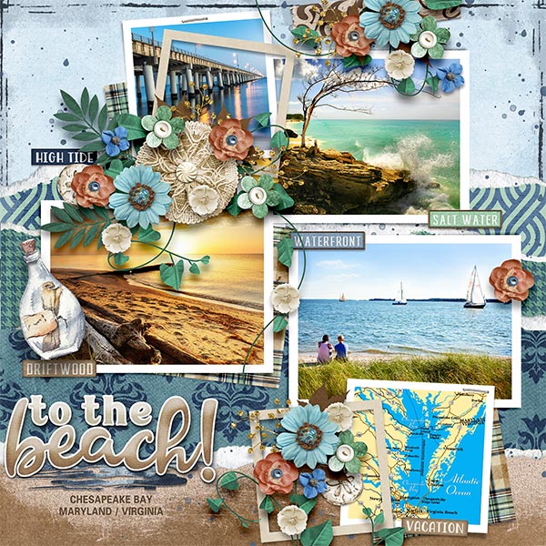 TO THE BEACH