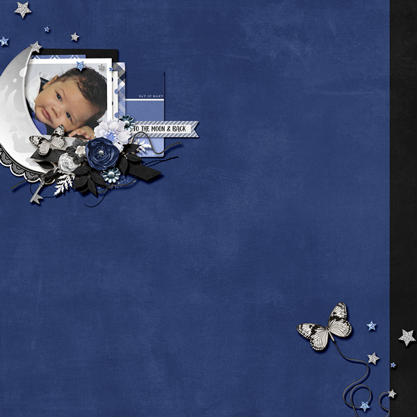To the Moon + Back