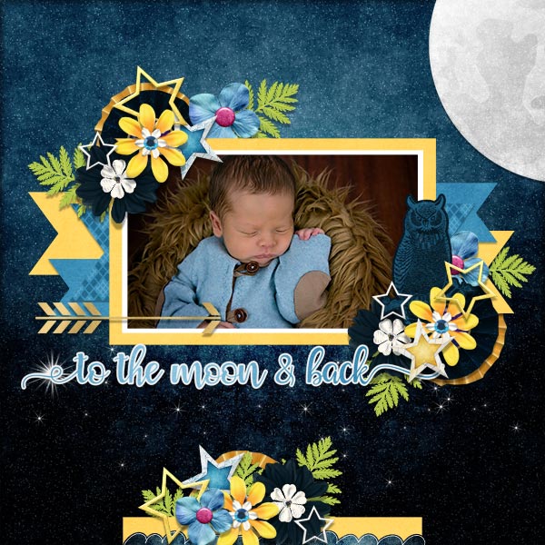To The Moon