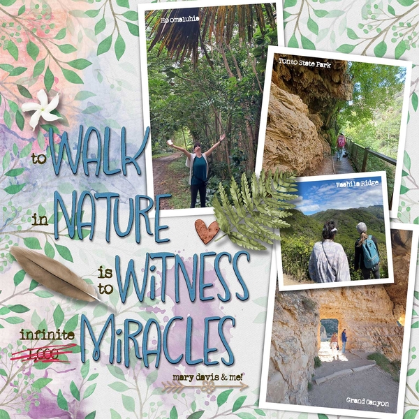 To Walk in Nature