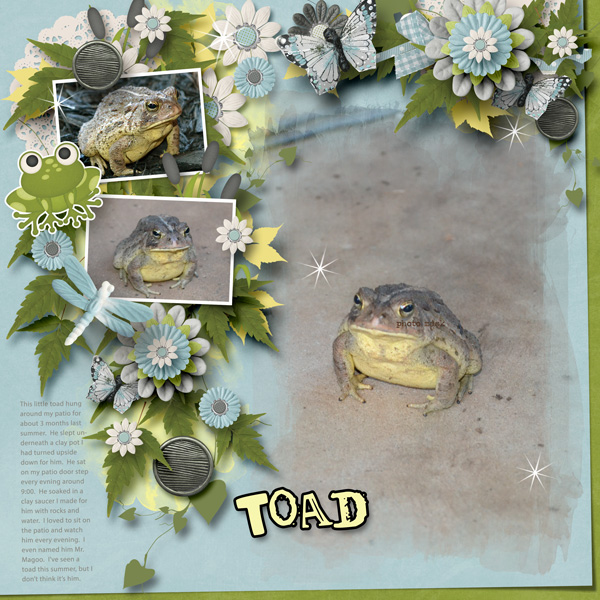 Toad