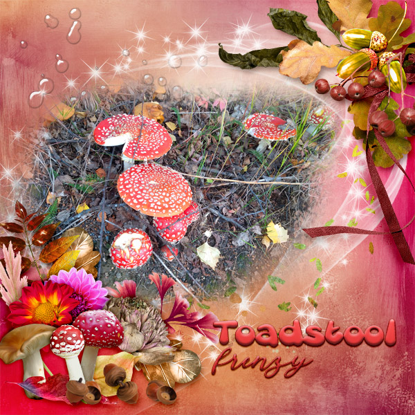 Toadstool-Frenzy