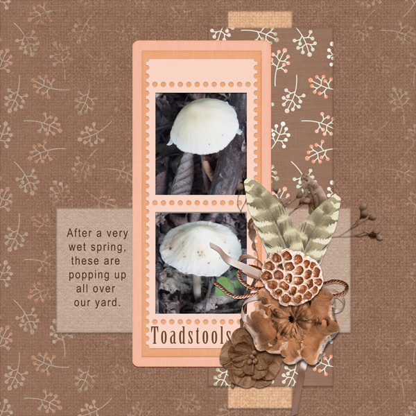Toadstools