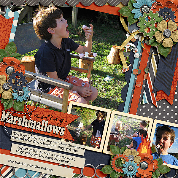 Toasting Marshmallows
