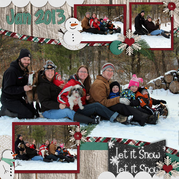 Toboggan Fun!