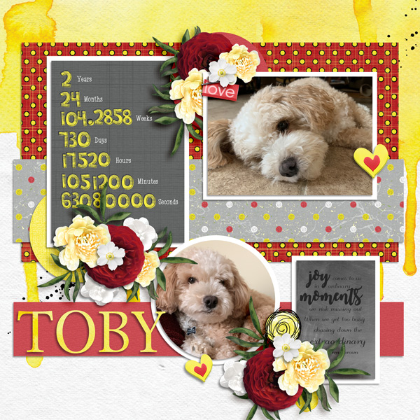 Toby2021