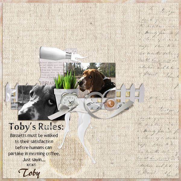 Toby's Rules-web