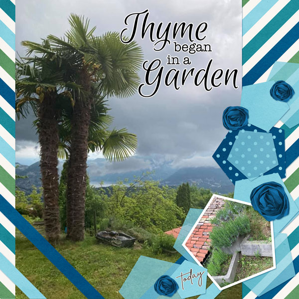 Today in the Garden