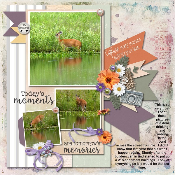 Todays Moments