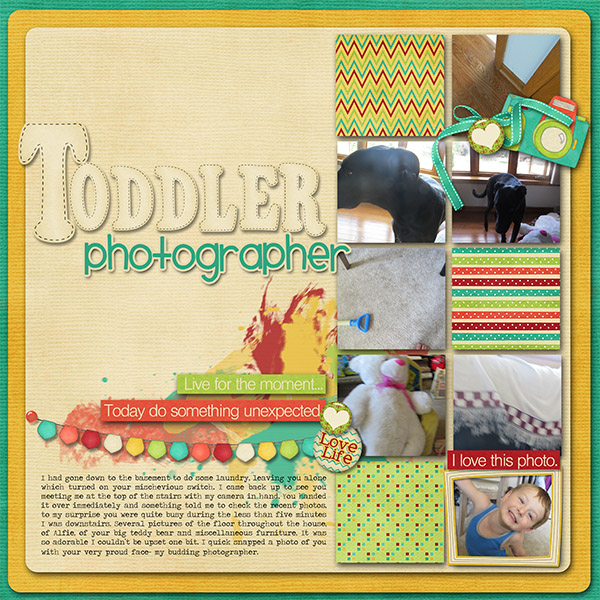 Toddler photog