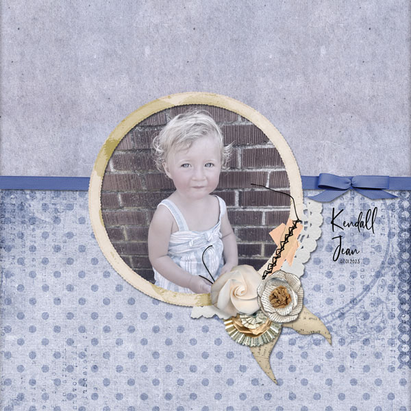 Toddler Portrait