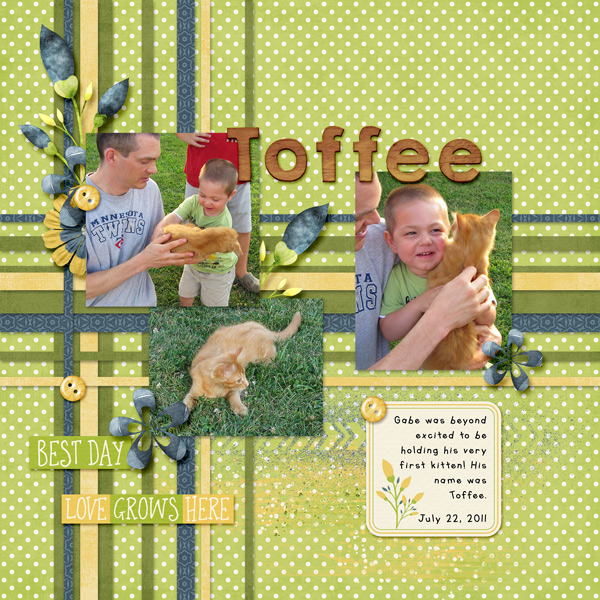 Toffee