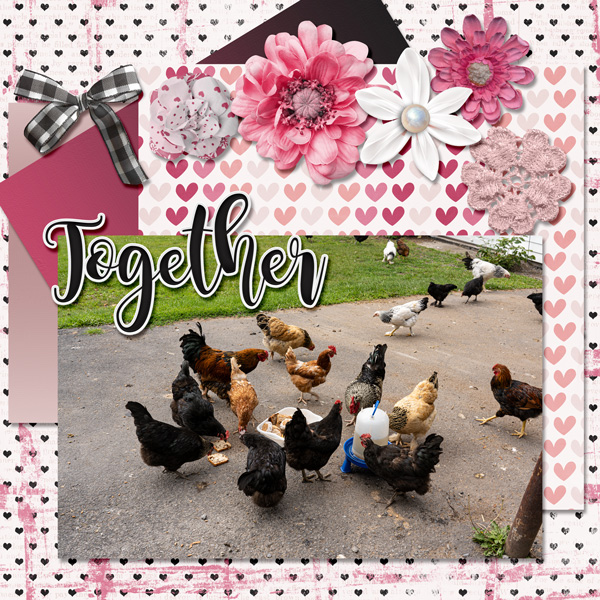 TOGETHER - FUR -GDSO3 MAR23