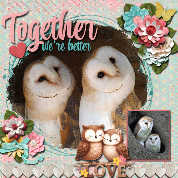 Together we are better
