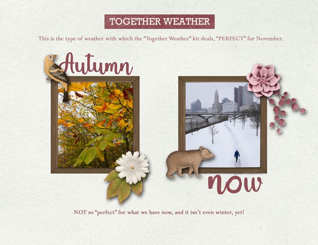 Together Weather