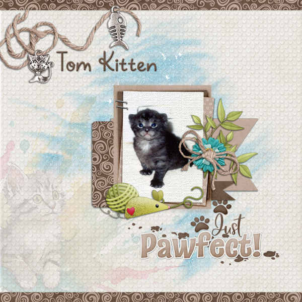 Tom Kitten