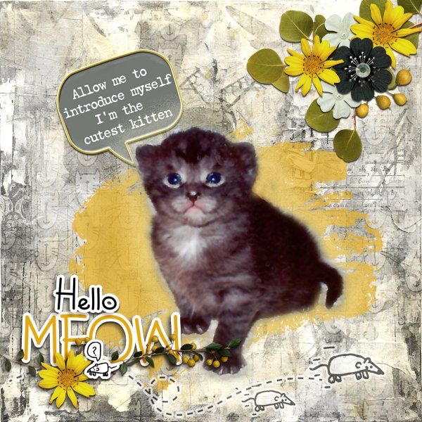Tom-Kitten