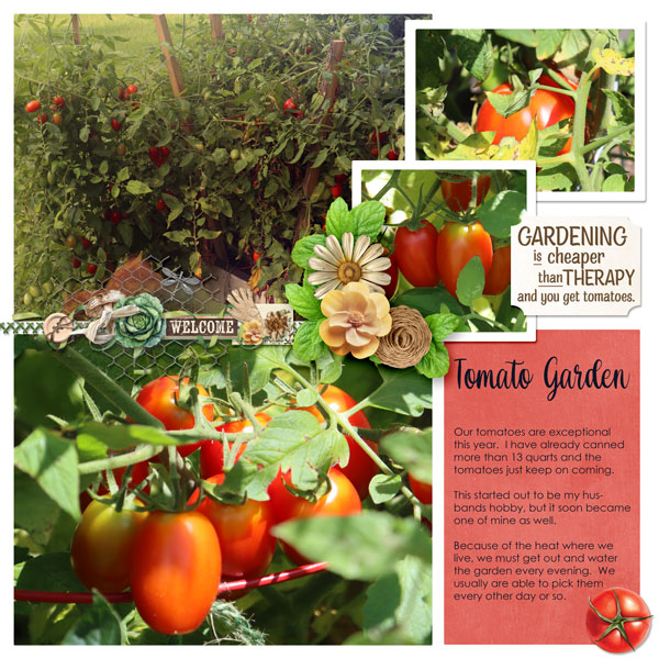 Tomato Garden