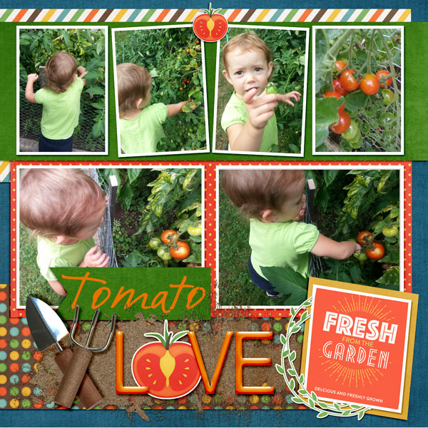 Tomato Love Right