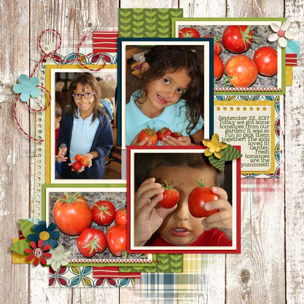 Tomatoes