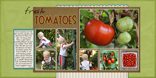 Tomatoes