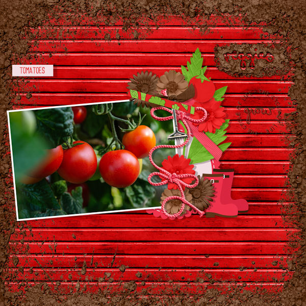 Tomatoes