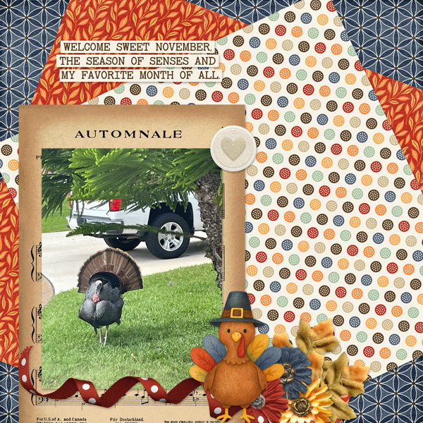 TomTurkey.gif