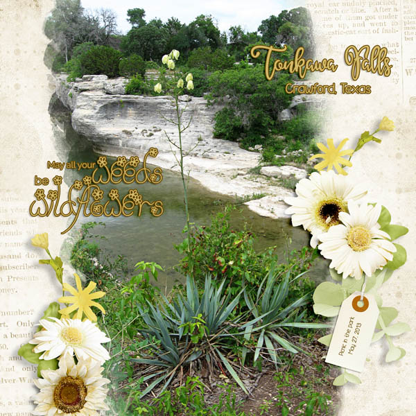 Tonkawa Falls