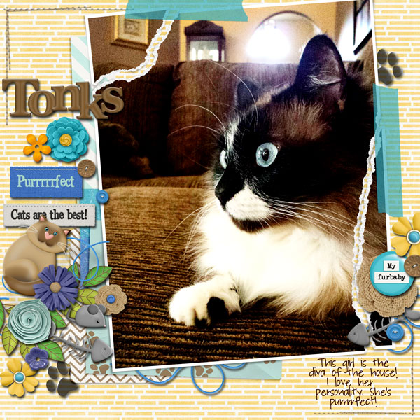 Tonks