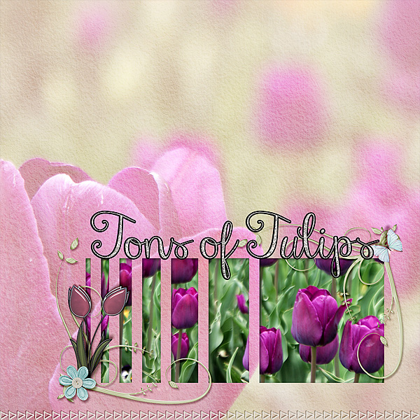 tons-of-tulips