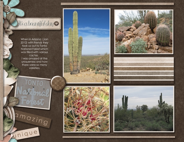 Tonto National Forest
