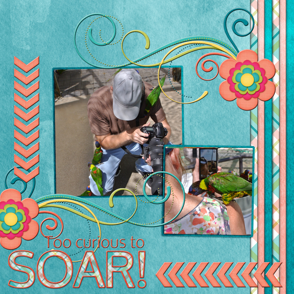 Too curious to SOAR!