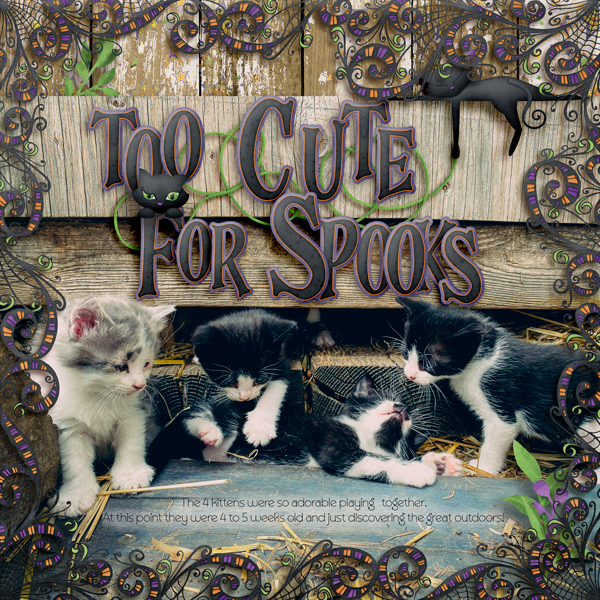Too Cute forSpooks!