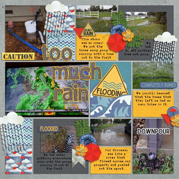 Too Much Rain