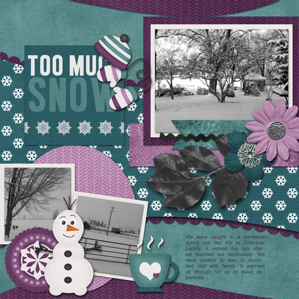 Too Much Snow