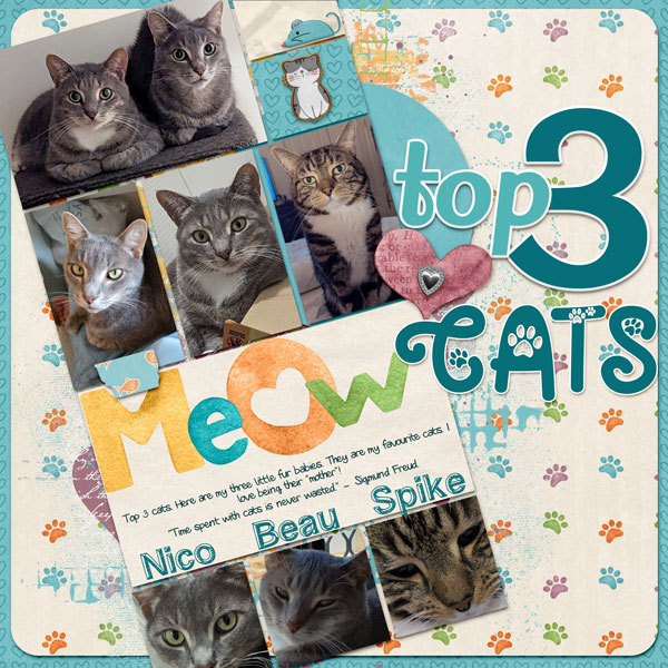 Top 3 Cats